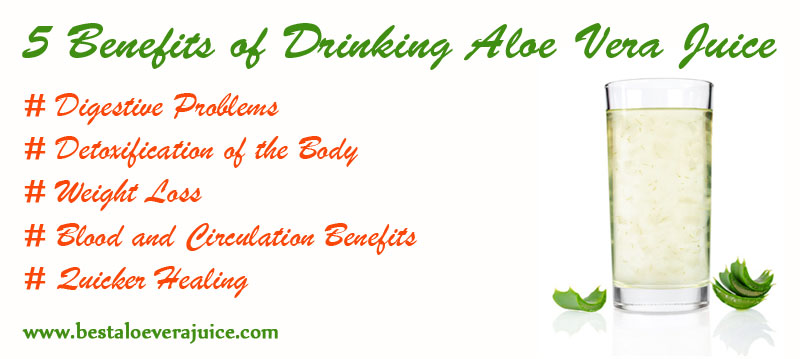 5 benefits of drinking Aloe Vera Juice - Best aloe vera juice